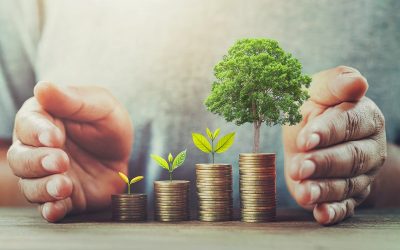 Jak działa porównywarka kont bankowych?