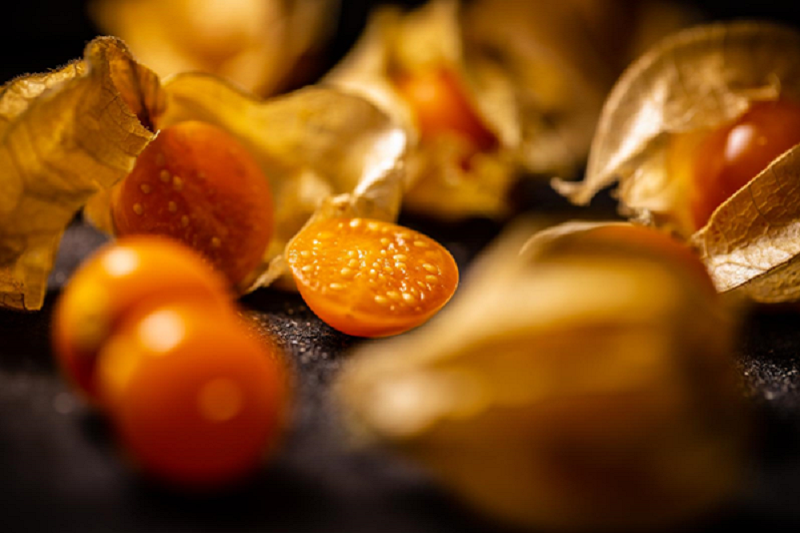 Miechunka peruwiańska – jak wygląda uprawa tej rośliny w polskim ogrodzie