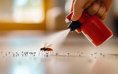 Jak skutecznie pozbyć się szkodników z domu? Przewodnik po metodach dezynsekcji